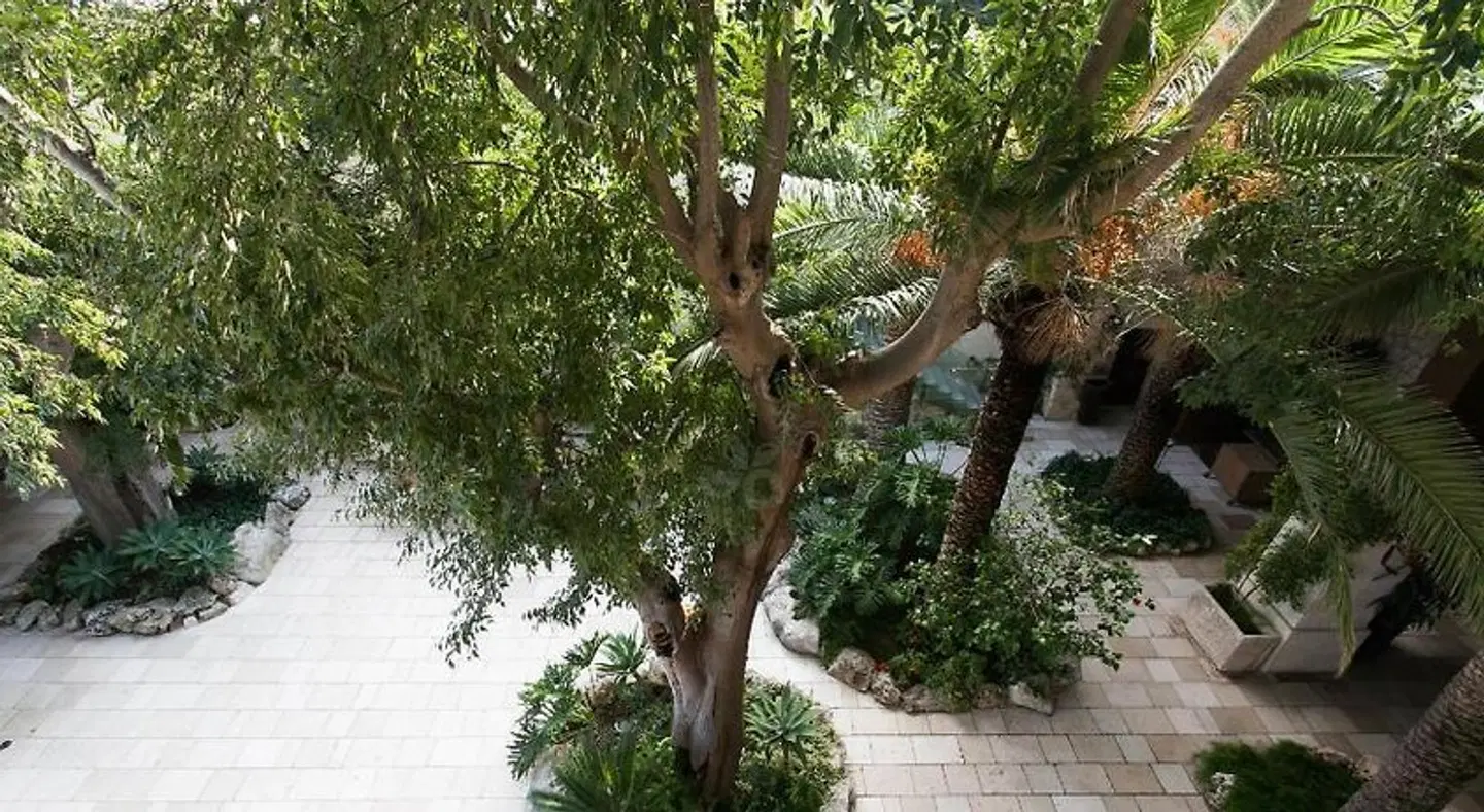 Dimora Storica Torre Del Parco 1419 ANIMAL