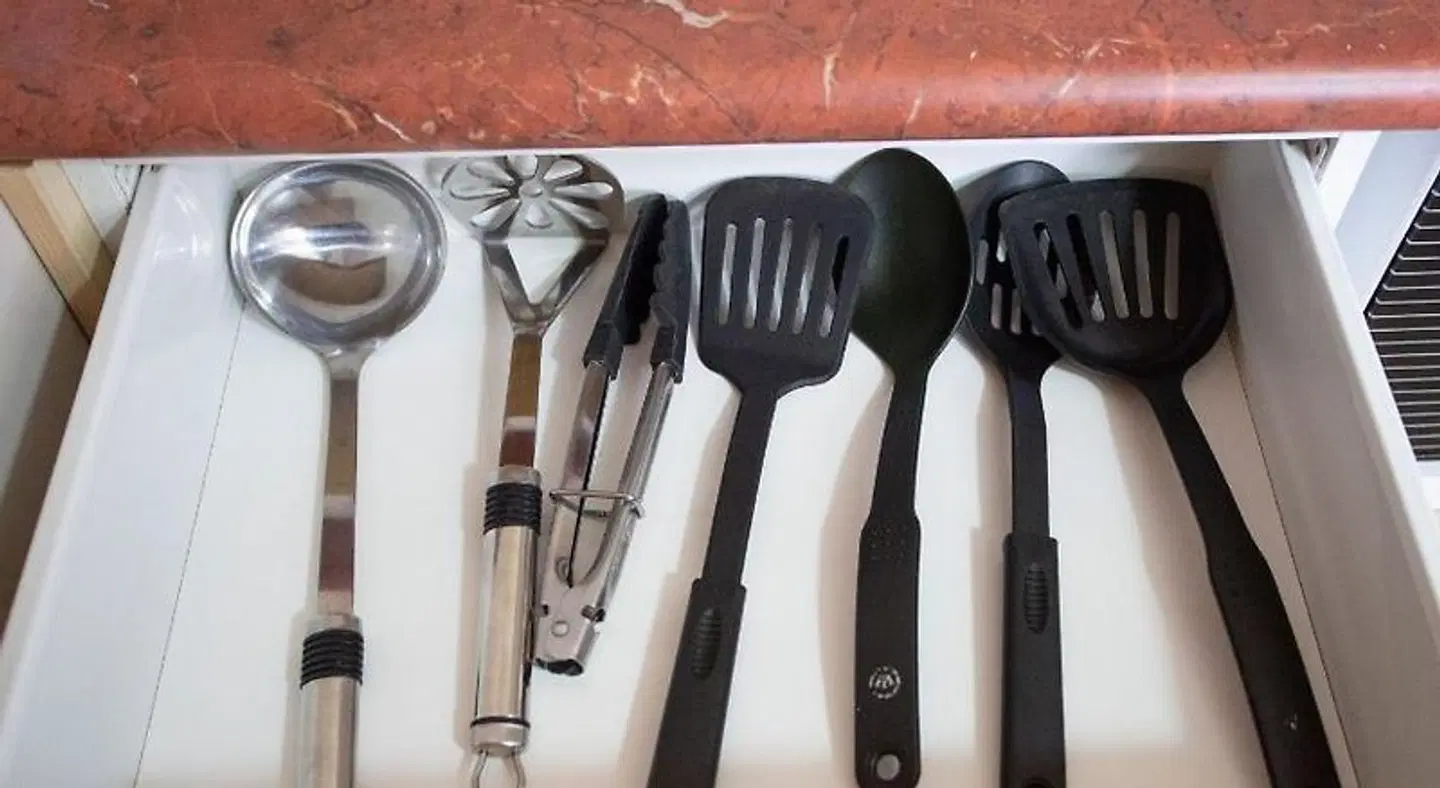 Bella Vista Motel New Plymouth ANIMAL