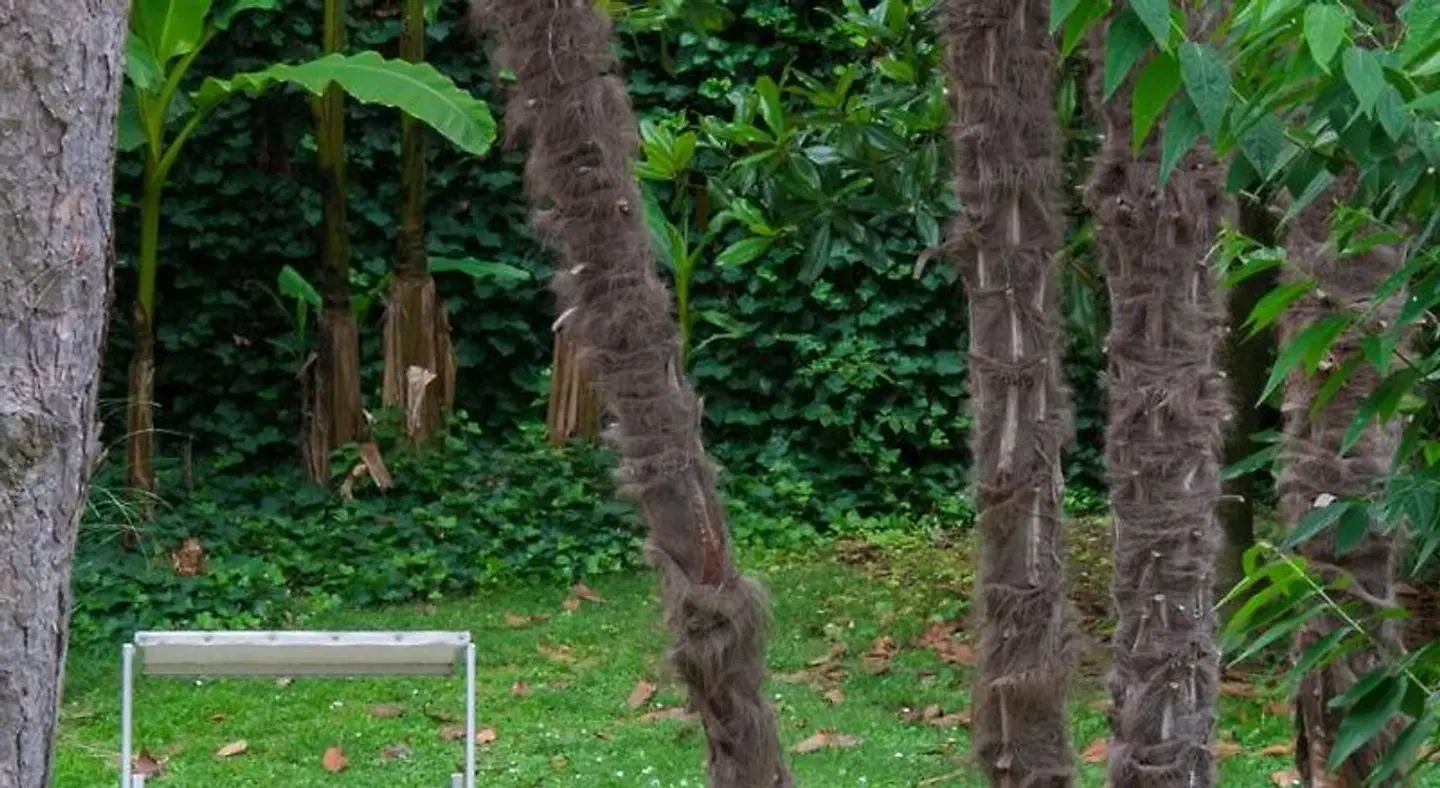 Ai Giardini di San Vitale ANIMAL