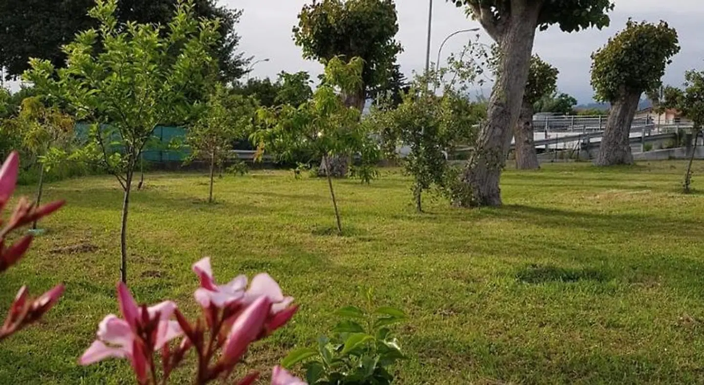 Patrizia LANDSCAPE