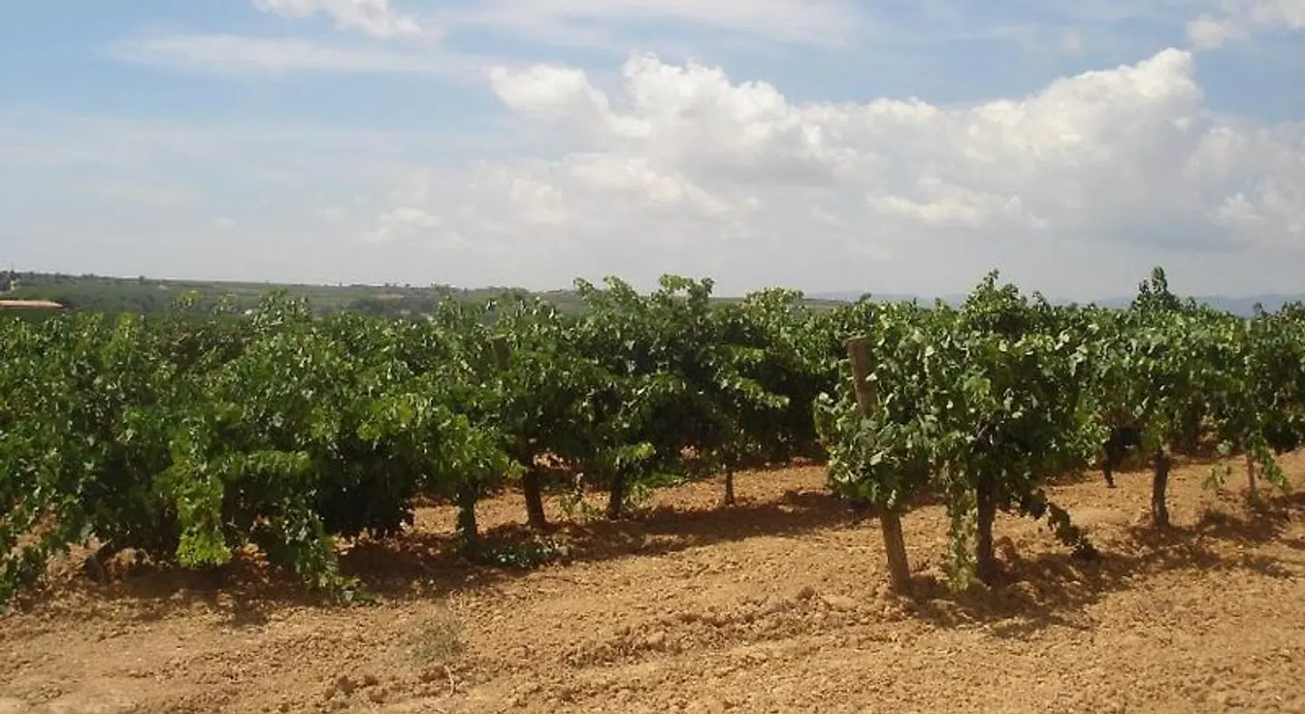 Agroturisme Cal Jeroni LANDSCAPE