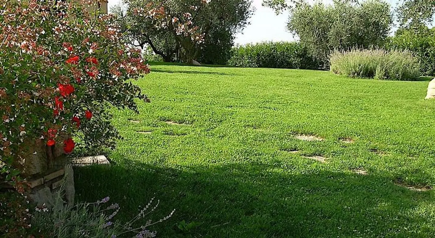 B&B Ellera Viterbo GARDEN