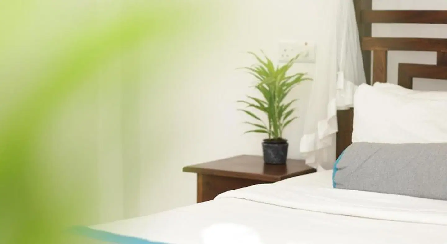 Ella Soul Resort ROOM_EXAMPLE