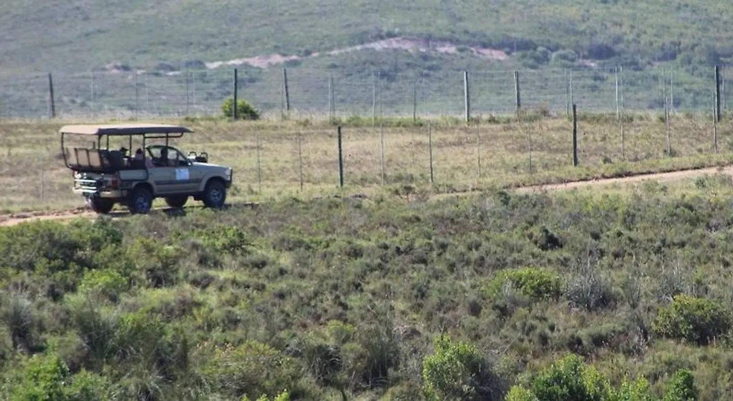 Hartenbos Private Game Lodge ANIMAL