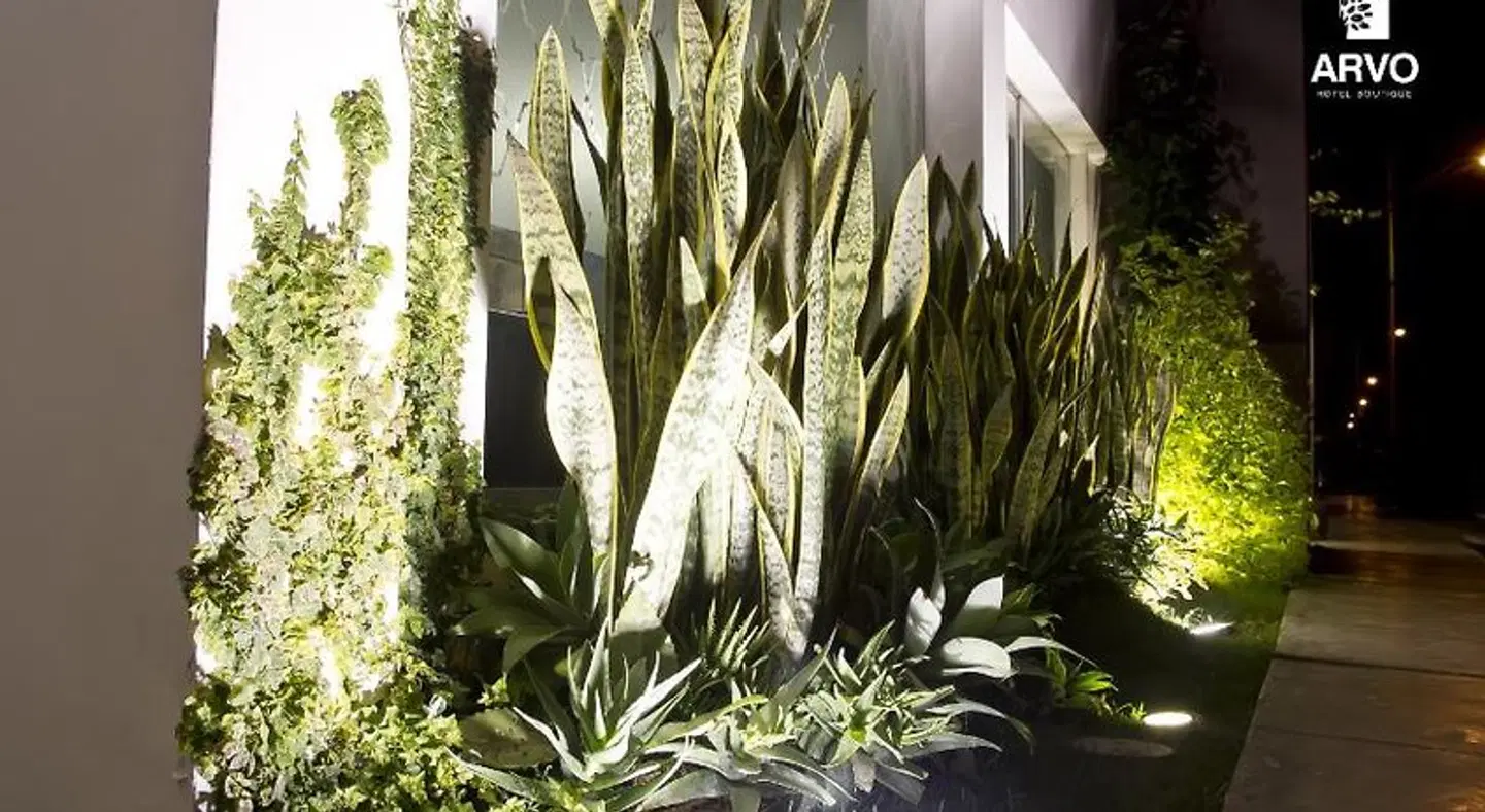 Arvo Hotel Boutique GARDEN