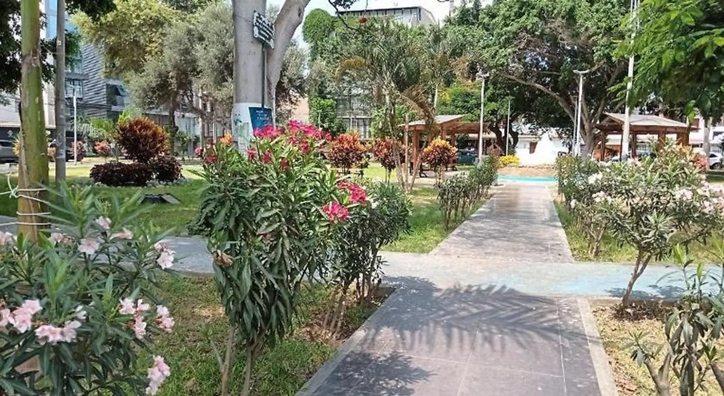 Le Saint-Etienne GARDEN