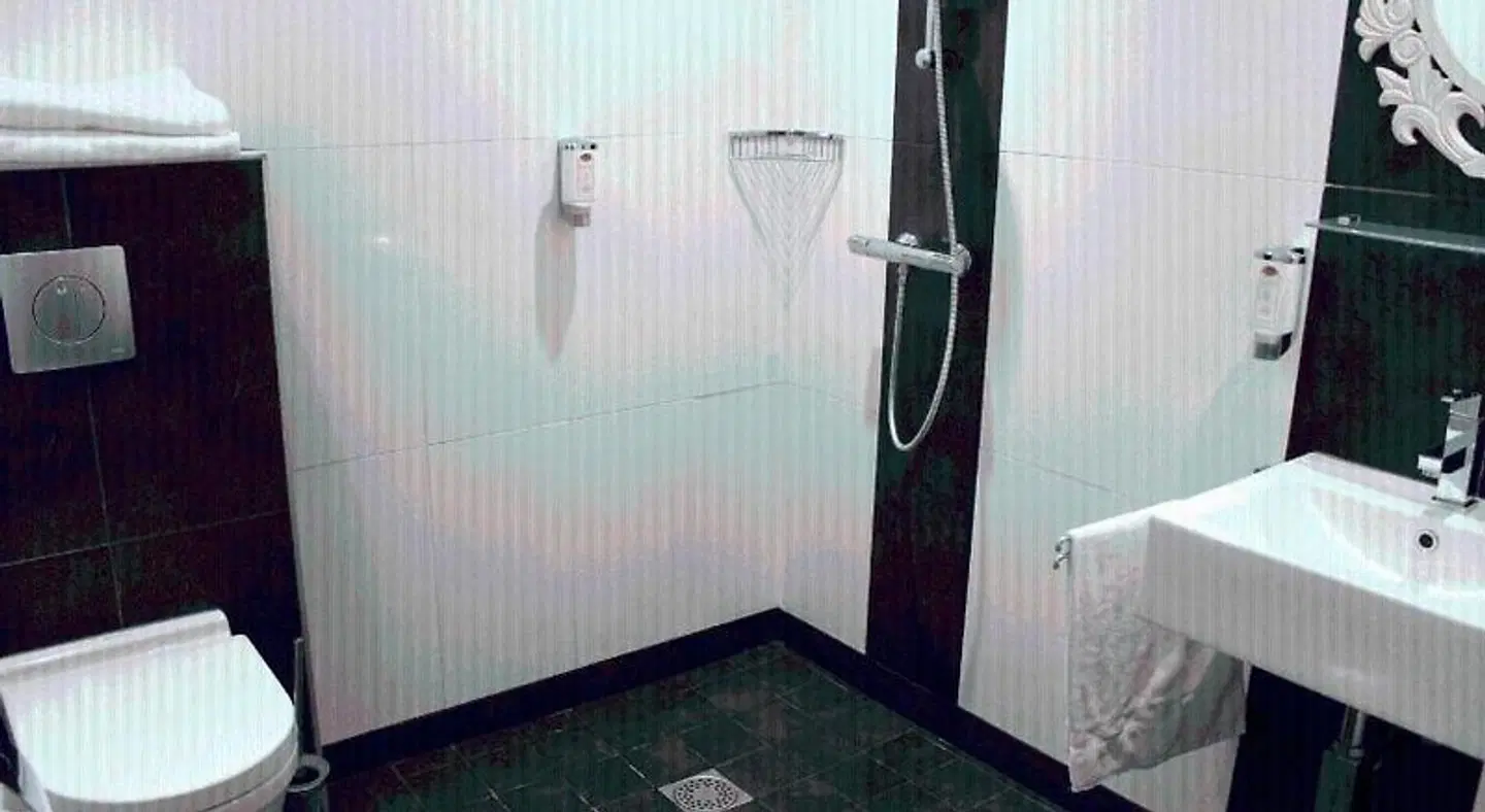 Hugo de Vries BATHROOM