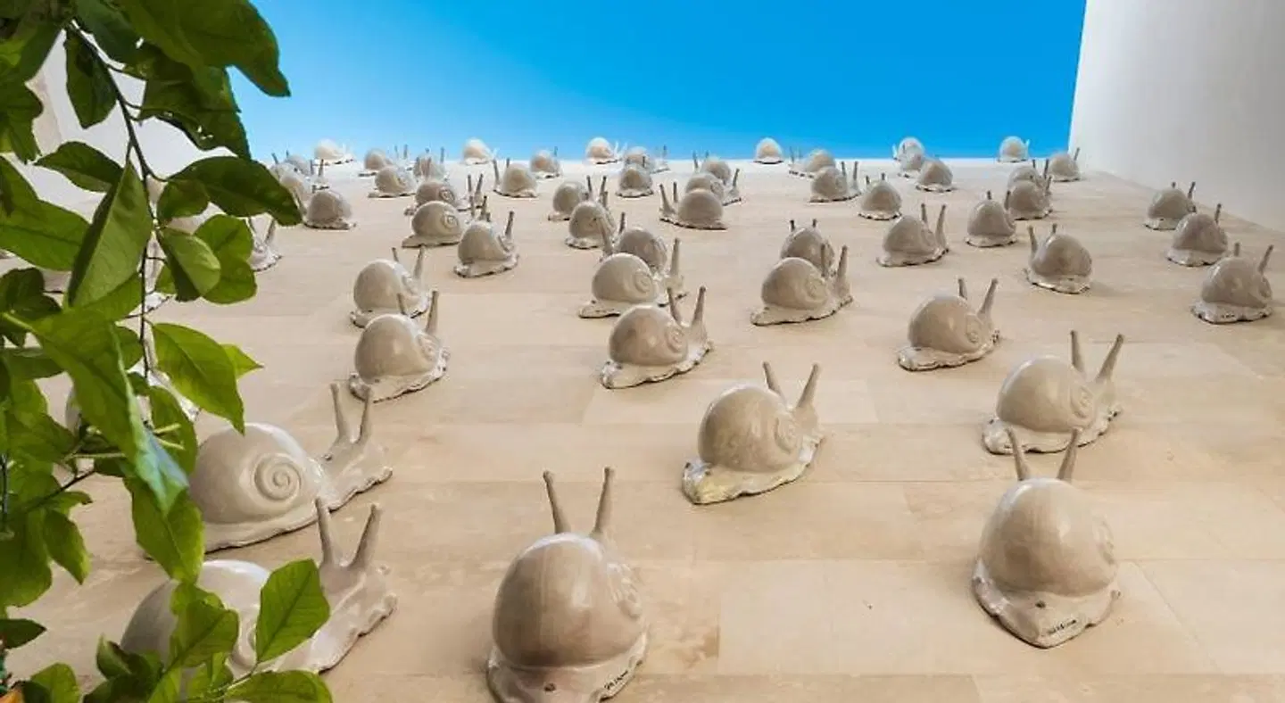 Royal Maniace Hotel ANIMAL