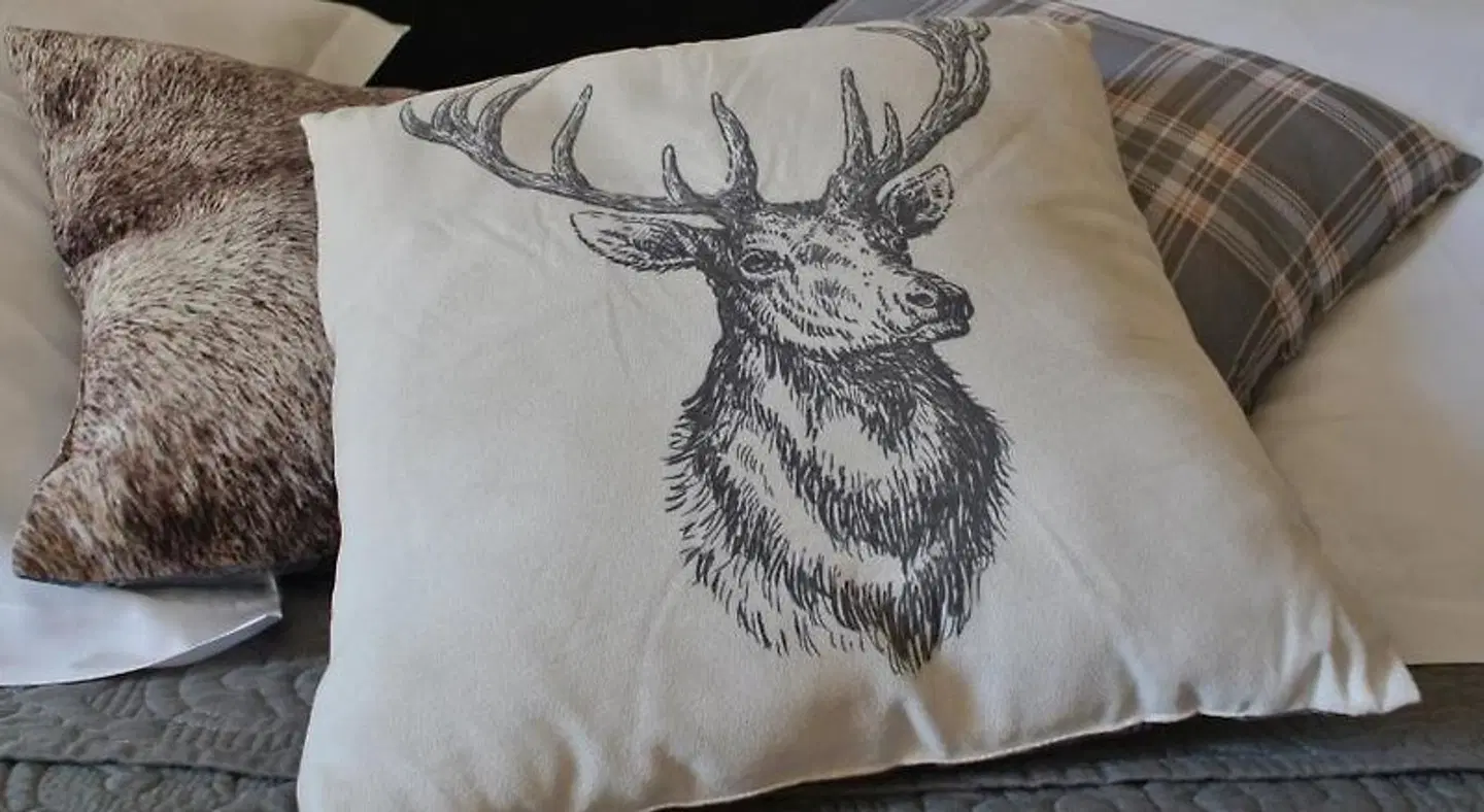 Hameau de la Fausse Sauge ANIMAL