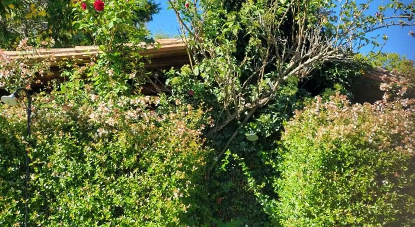 Pasteral Hotel Rural GARDEN