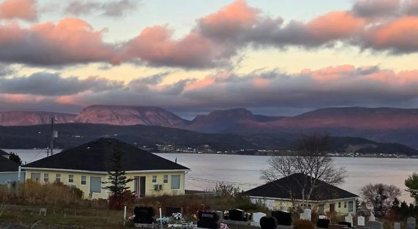 The Rooms at Woody Point TERRACE