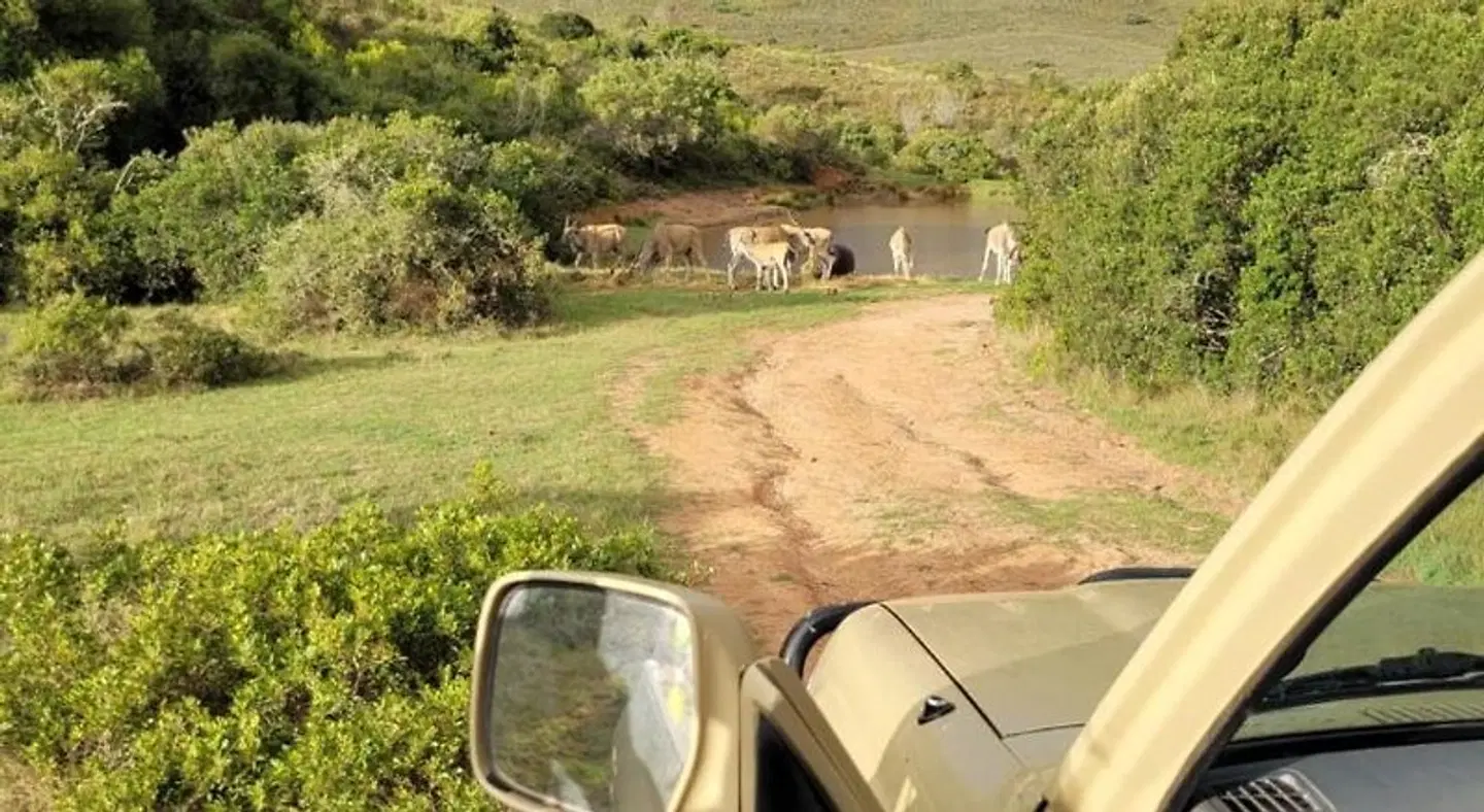 Hartenbos Private Game Lodge SPORTS_AND_LEISURE