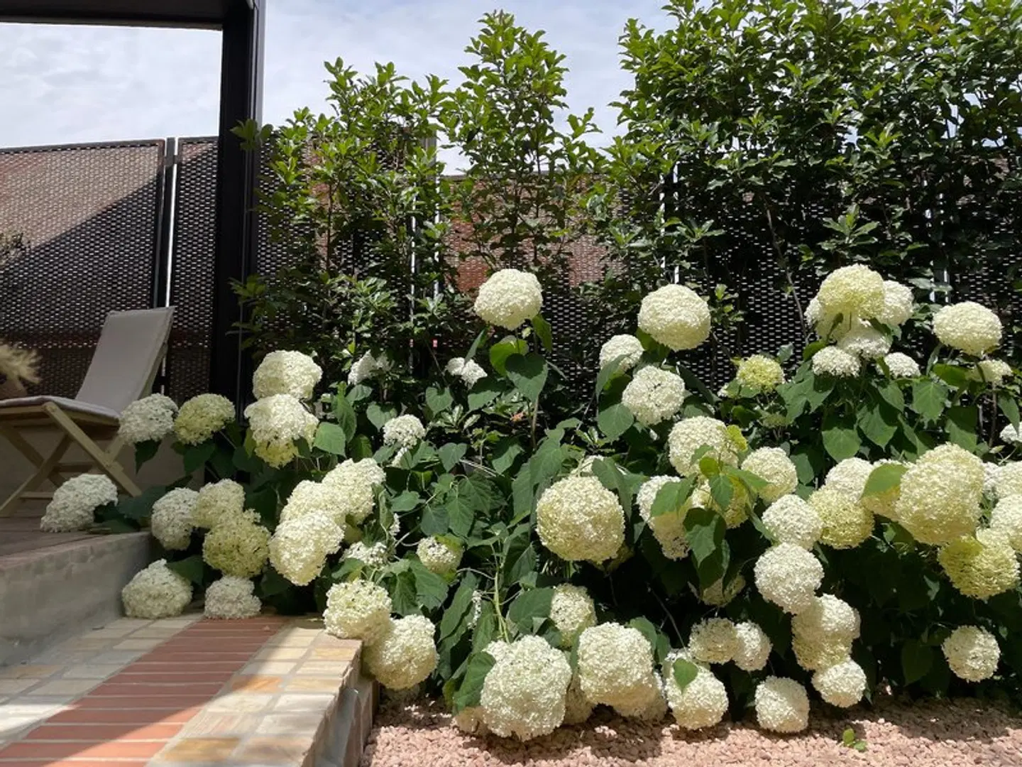 Borgata Cantone Country House B&B ANIMAL