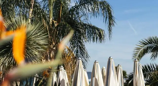 Palmon Bay Hotel & Spa TERRACE