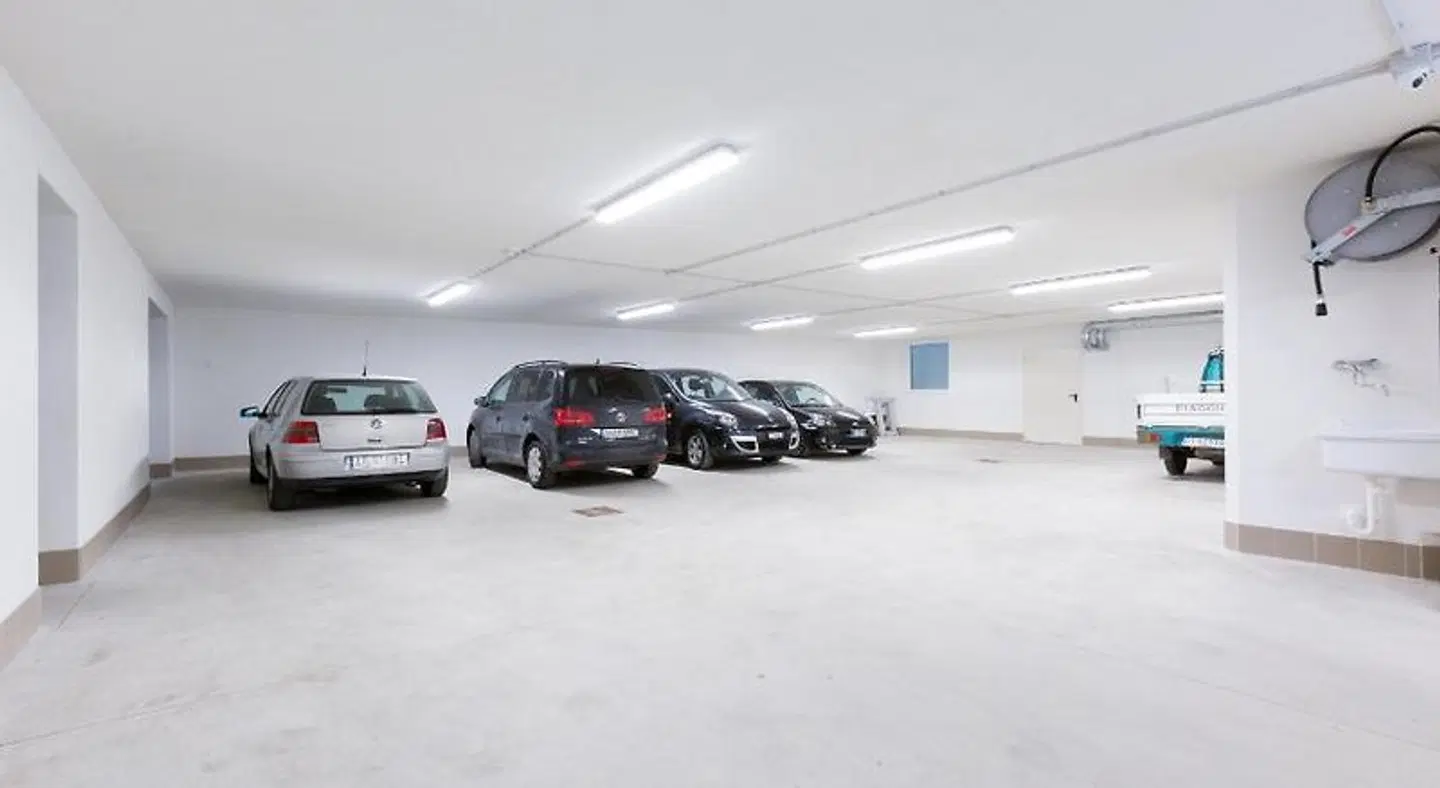 Green Rose SPORTS_AND_LEISURE