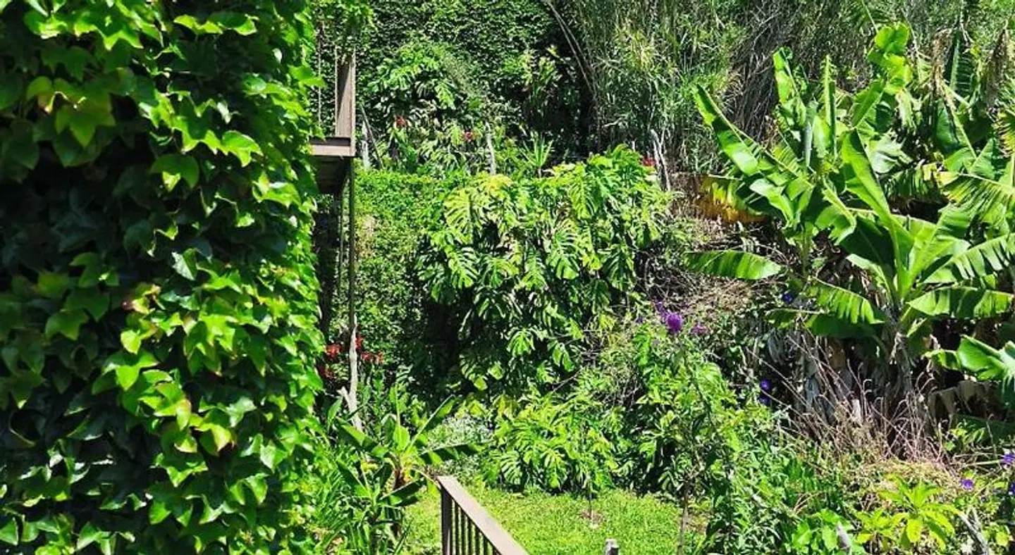 Les Terrasses Suites GARDEN