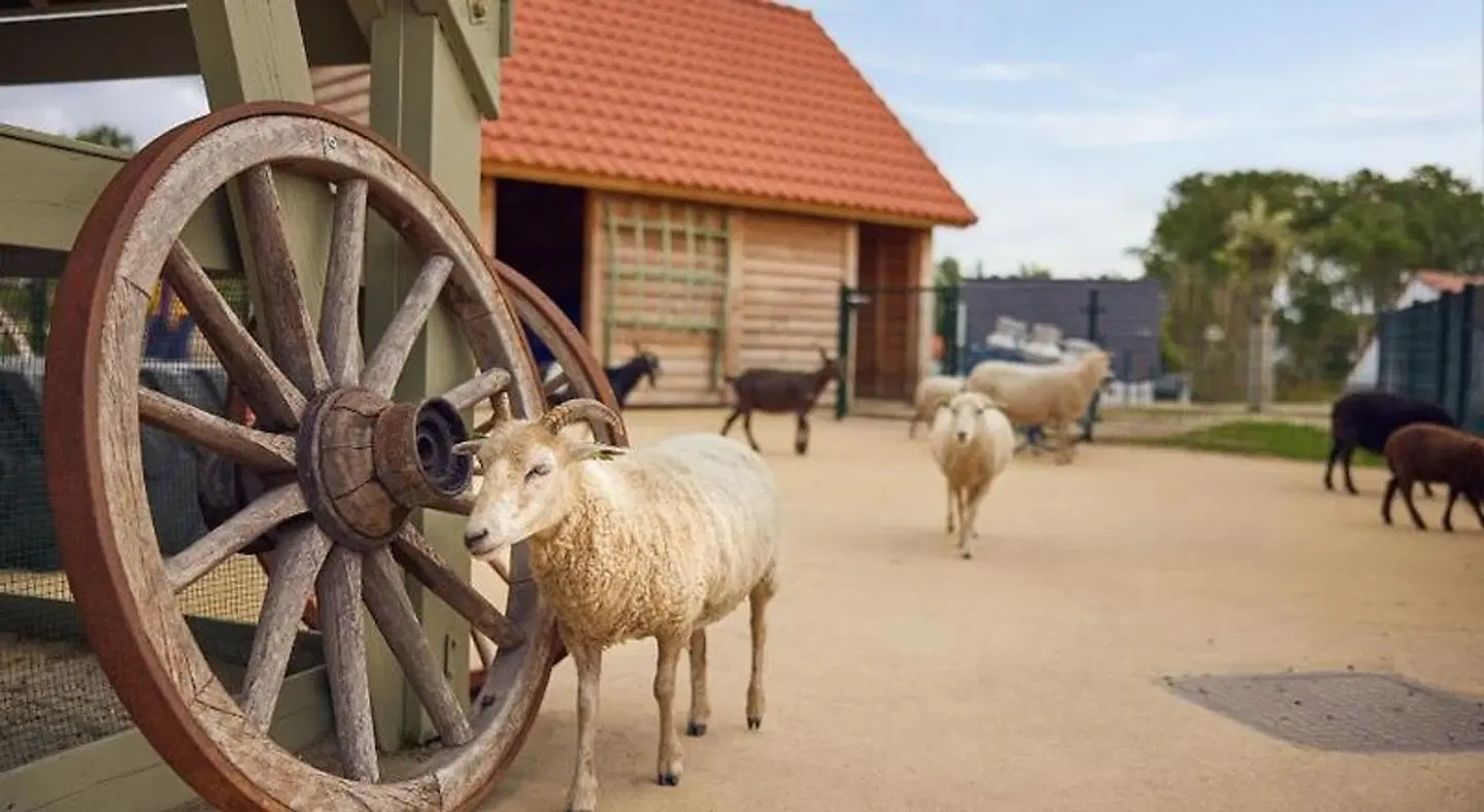 Center Parcs Beachhotel Zandvoort ANIMAL