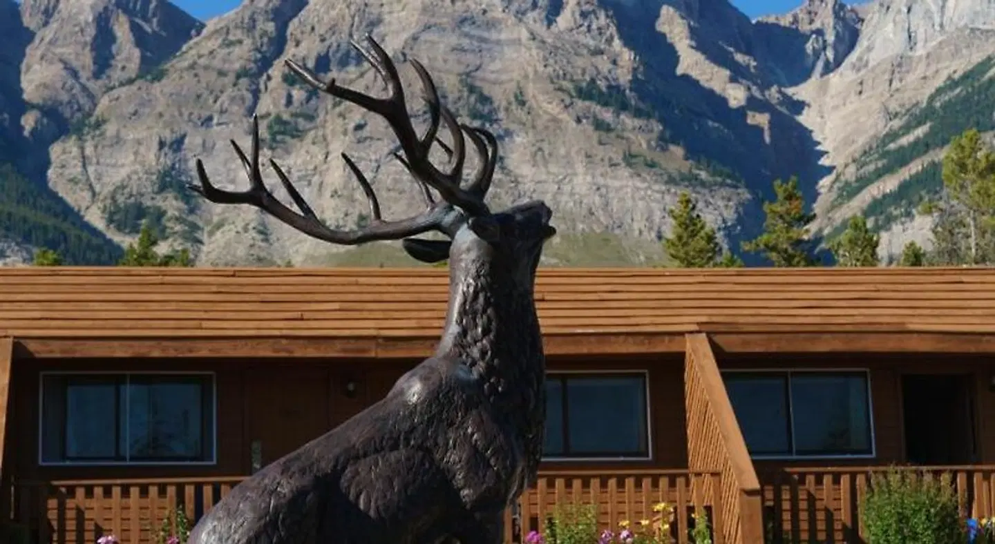 The Crossing Resort ANIMAL