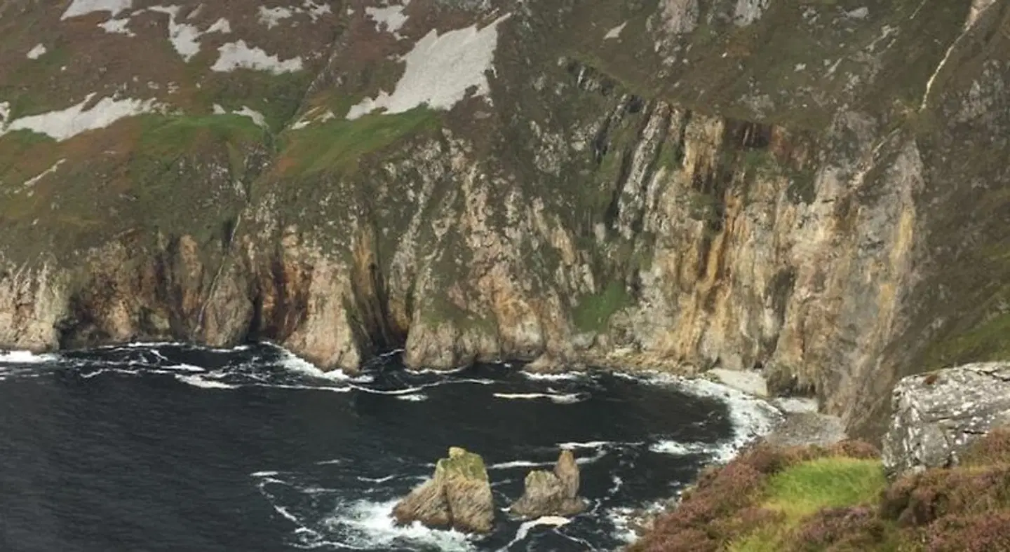 Carrick House B&B ANIMAL