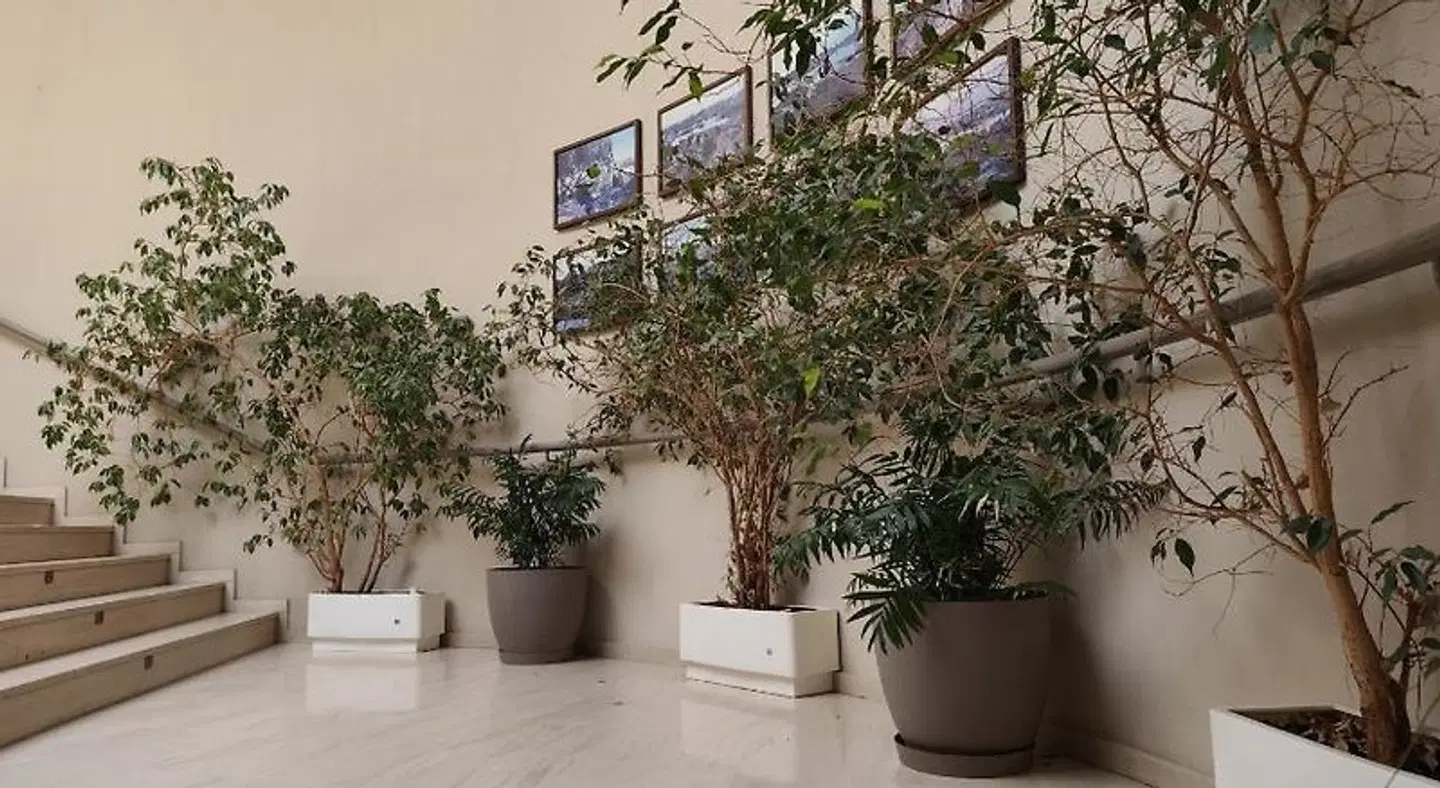 Hotel Pena Cruz EXTERIOR