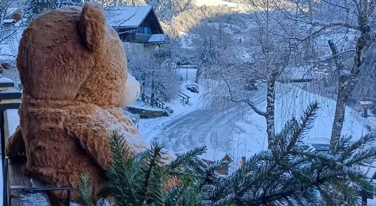 Chalet Appart'Hôtel Restaurant L'Eau Vive ANIMAL