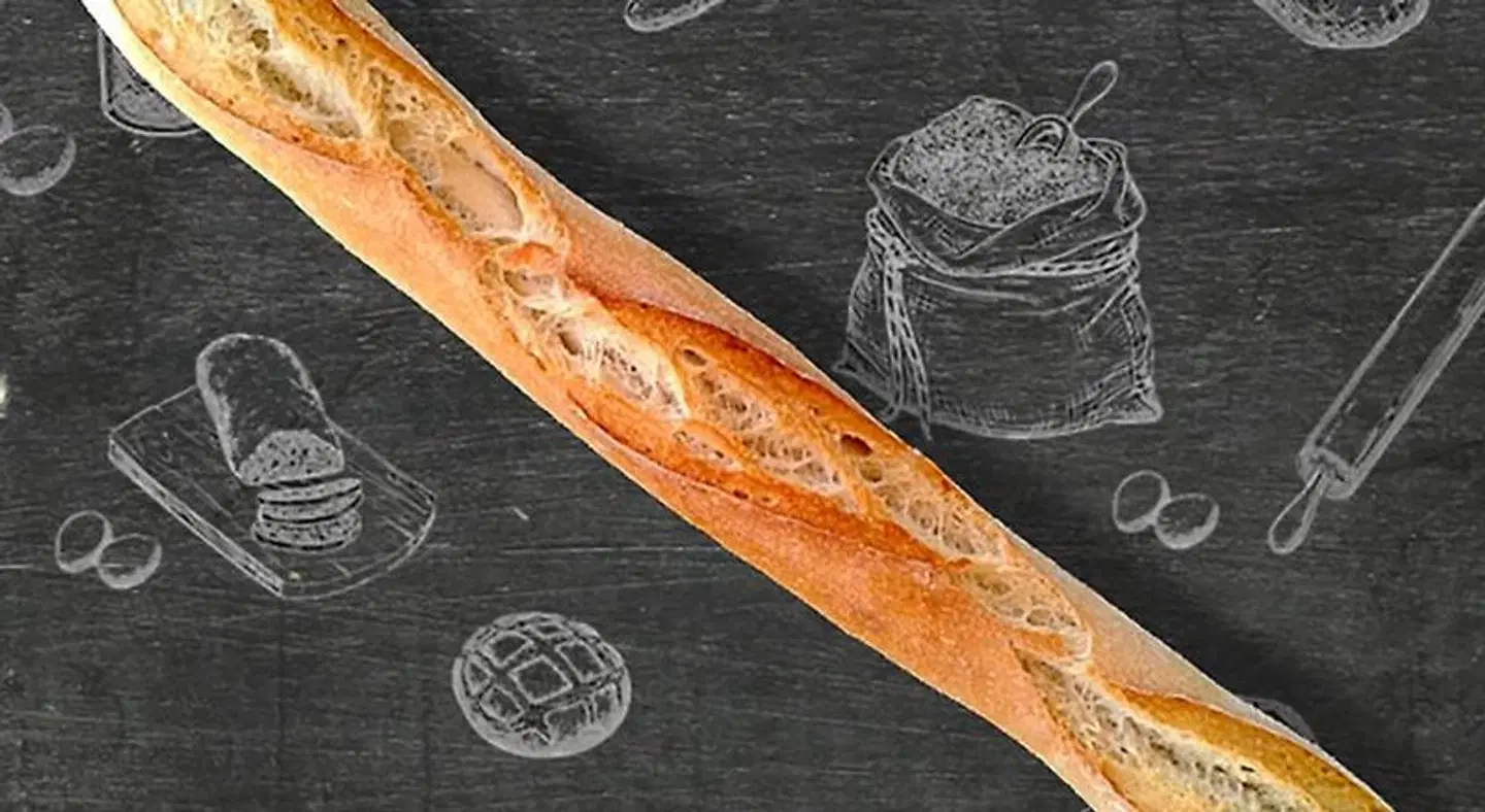 Hotel Tabasco ANIMAL