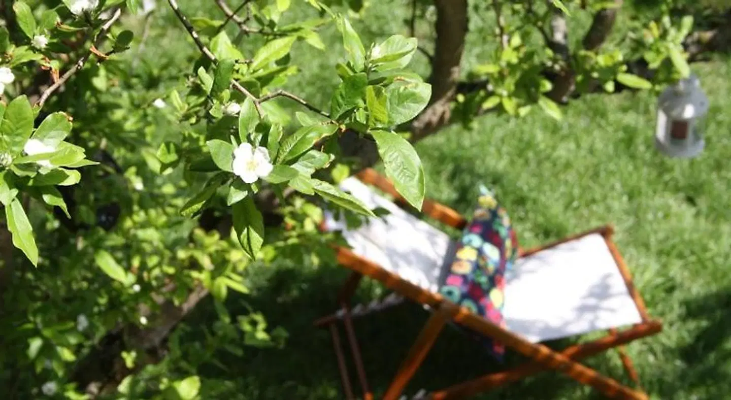 Casa Rural La Riba GARDEN