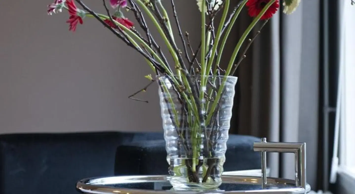 Bed en Brood - Veere TERRACE