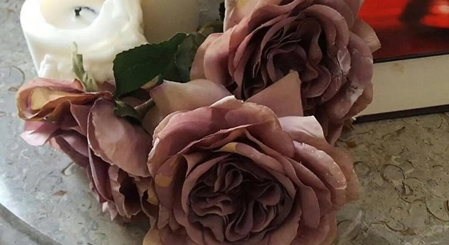 Purple Dog Suites HEALTH_BEAUTY