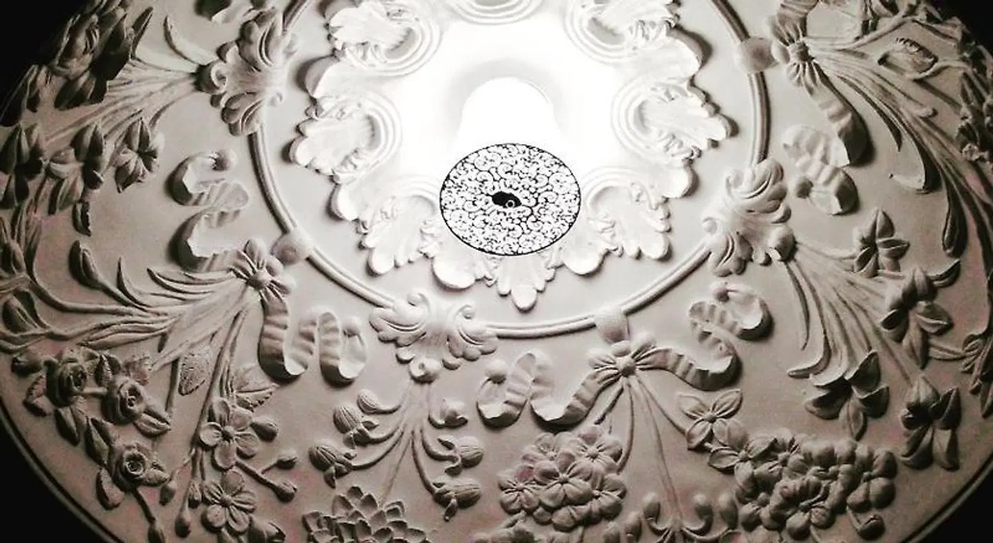 Purple Dog Suites ANIMAL