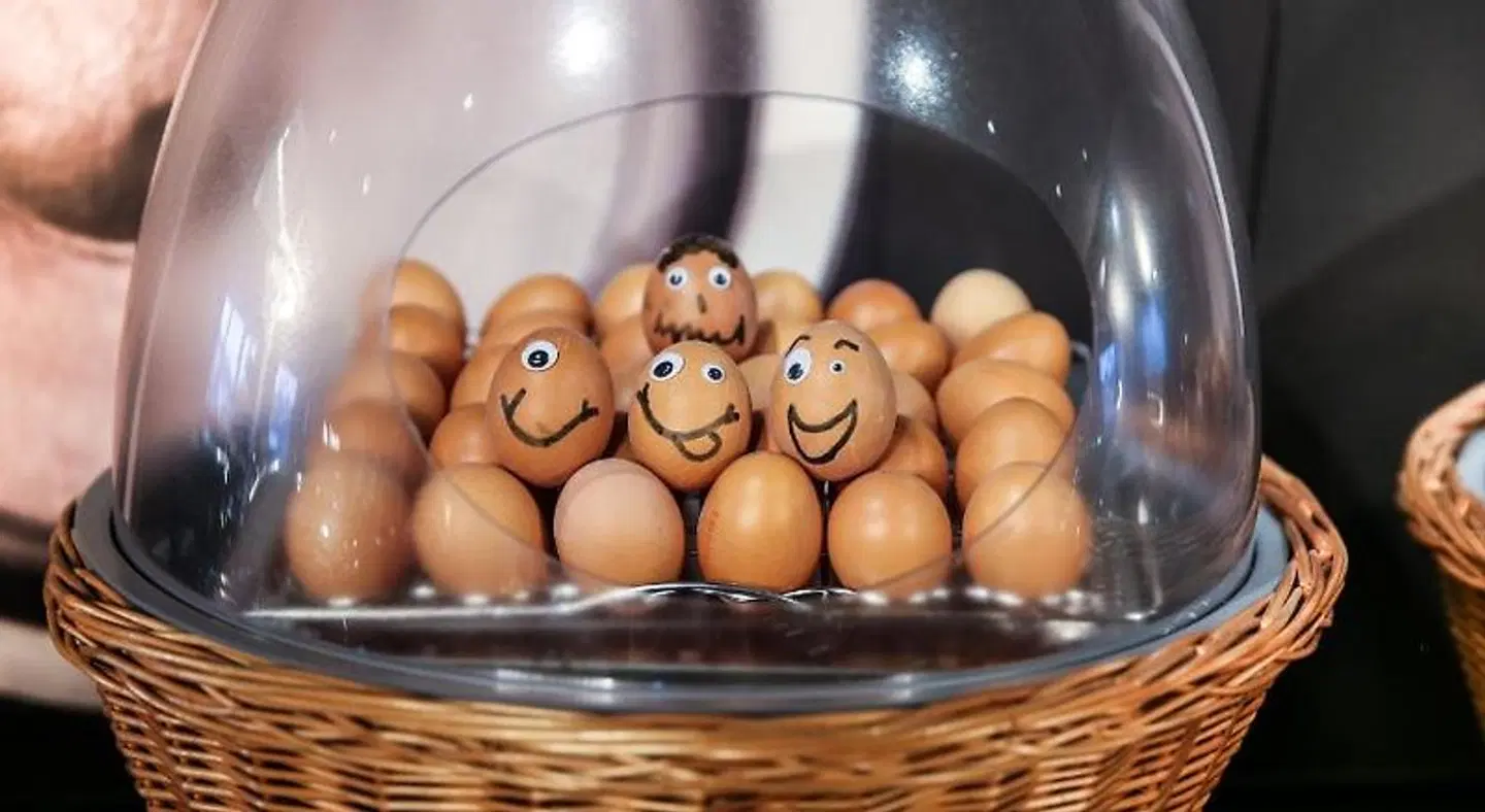 arte Hotel Wien Stadthalle INDOOR_POOL