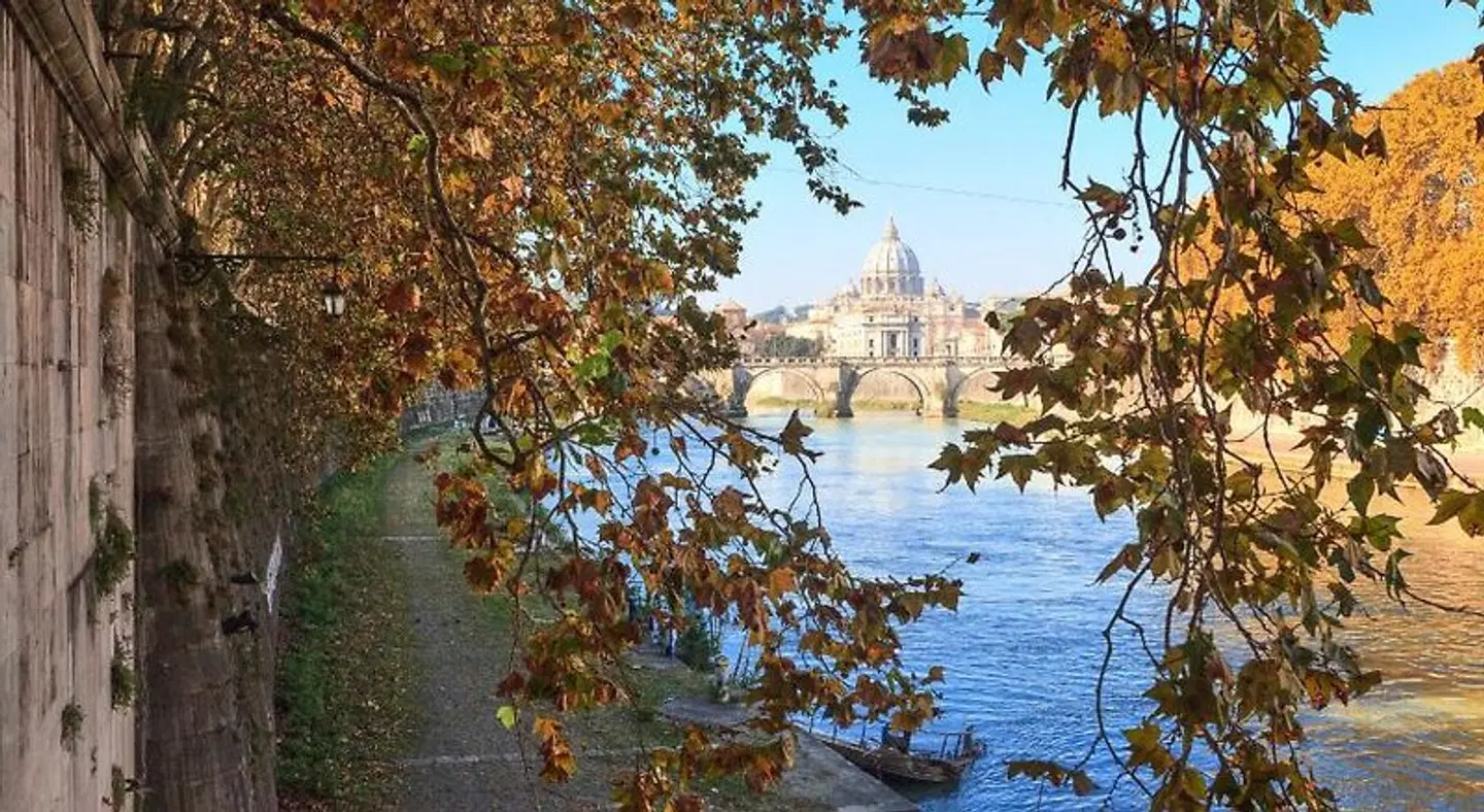 Vatican Domus LANDSCAPE