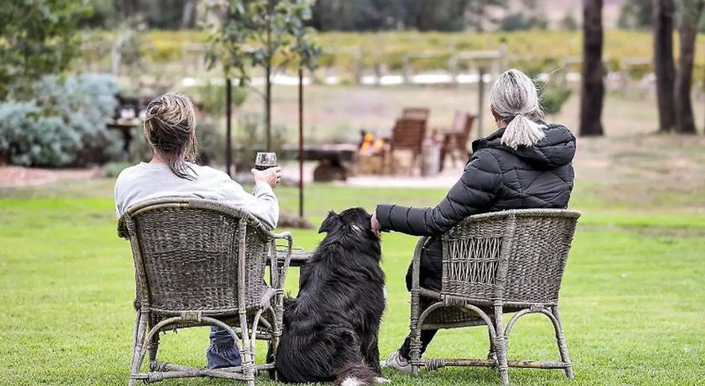 Byronsvale Vineyard and Accommodation ANIMAL