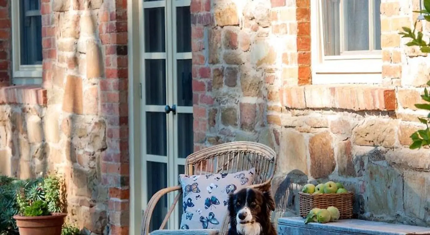 Byronsvale Vineyard and Accommodation SPORTS_AND_LEISURE