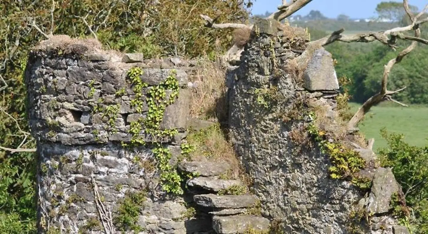 Killiane Castle Country House & Farm LANDSCAPE