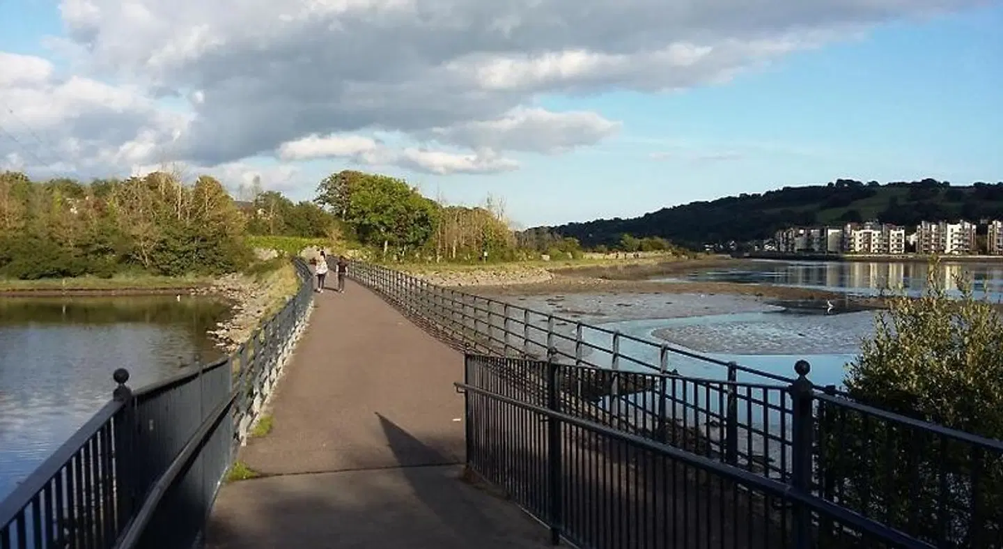 Woodview House Bed and Breakfast LANDSCAPE