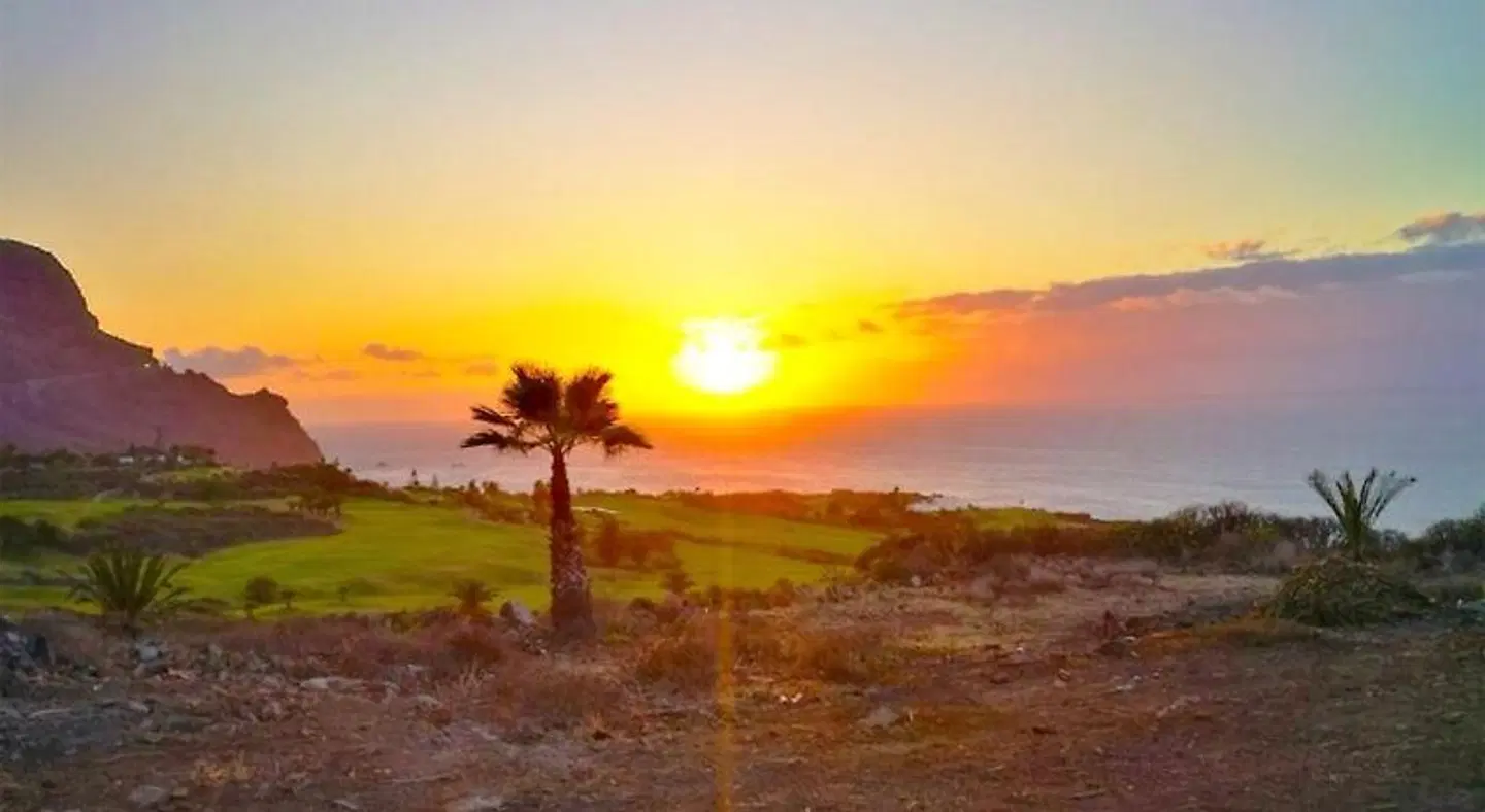 Finca el Castillo LANDSCAPE