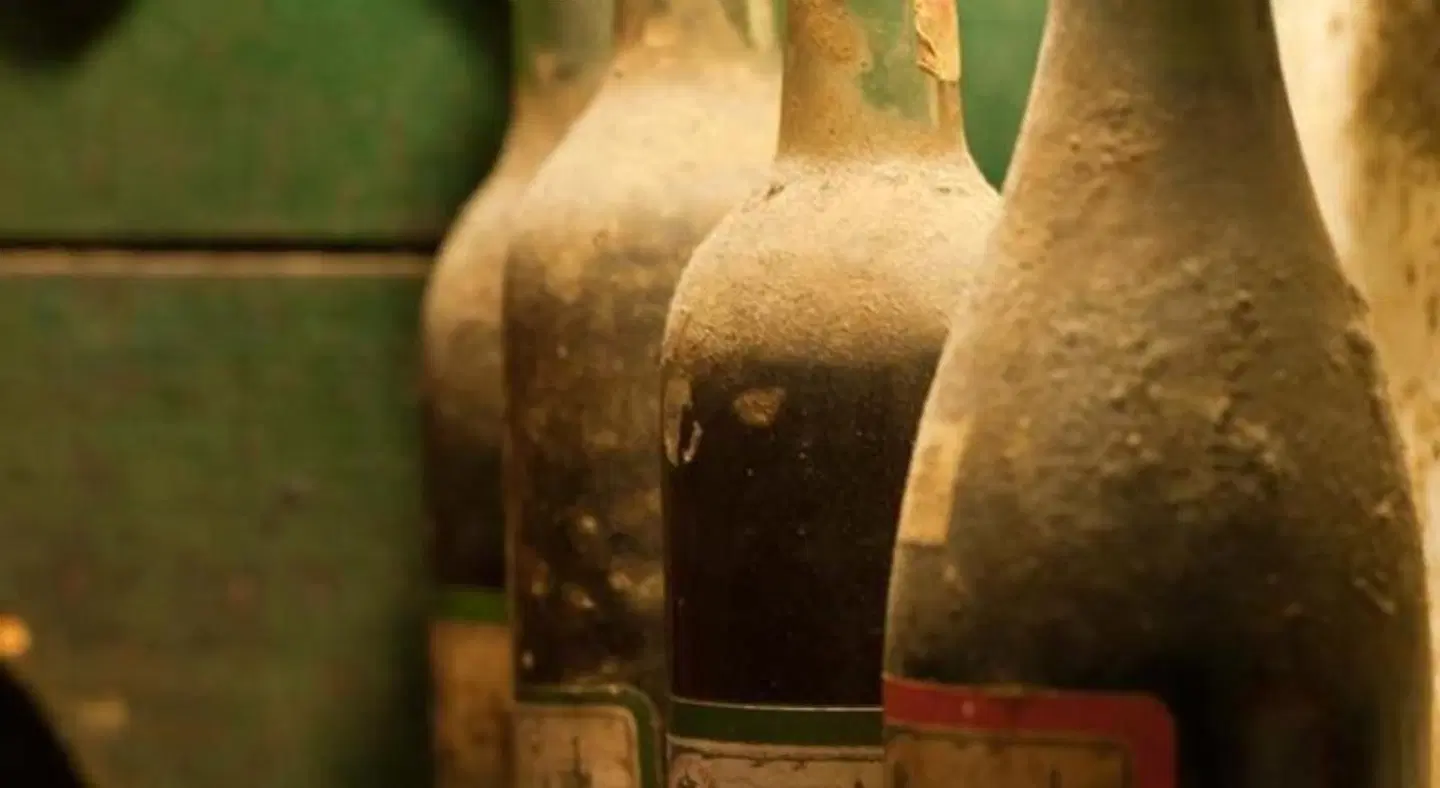 Palace Hotel do Bussaco EXTERIOR