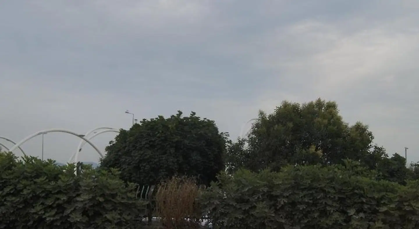 Galley Hotel LANDSCAPE