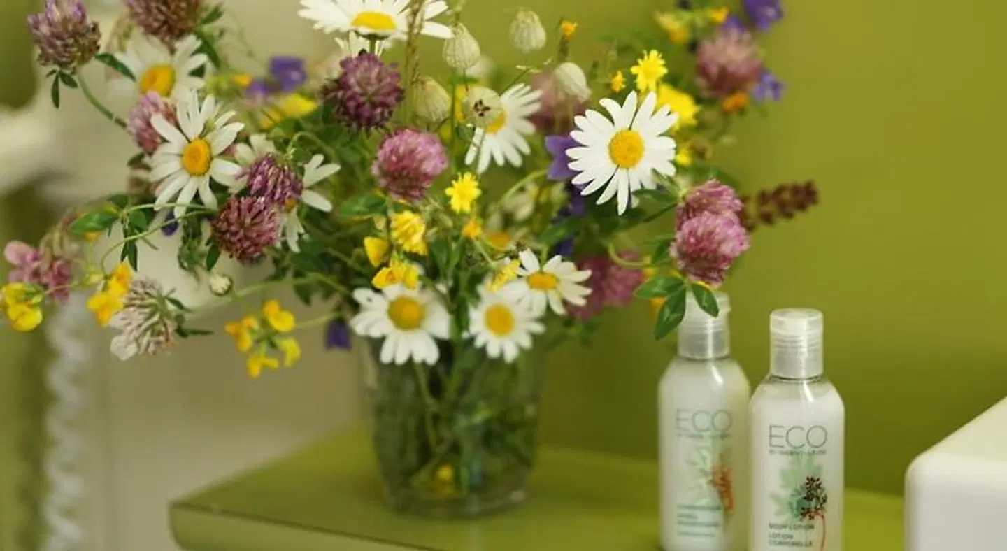 Thermal Hotels & Walliser Alpentherme LANDSCAPE