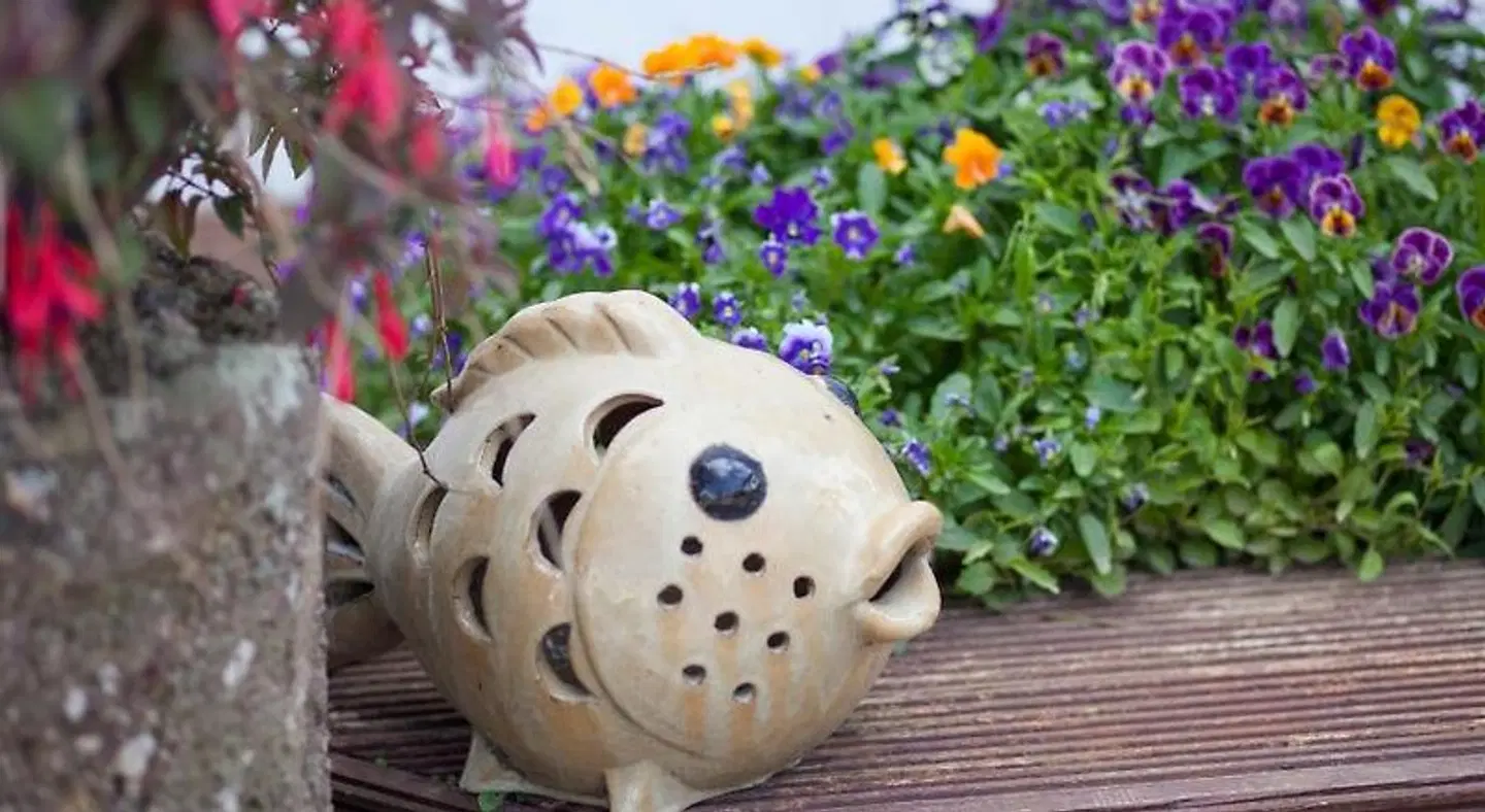 The Moorings B&B ANIMAL