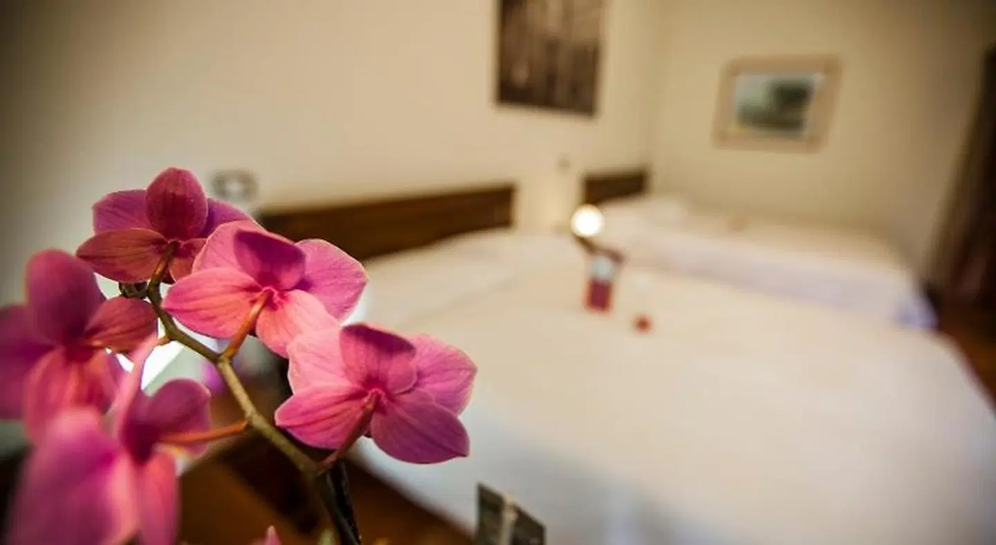 Hotel Residenza Petra ROOM_EXAMPLE