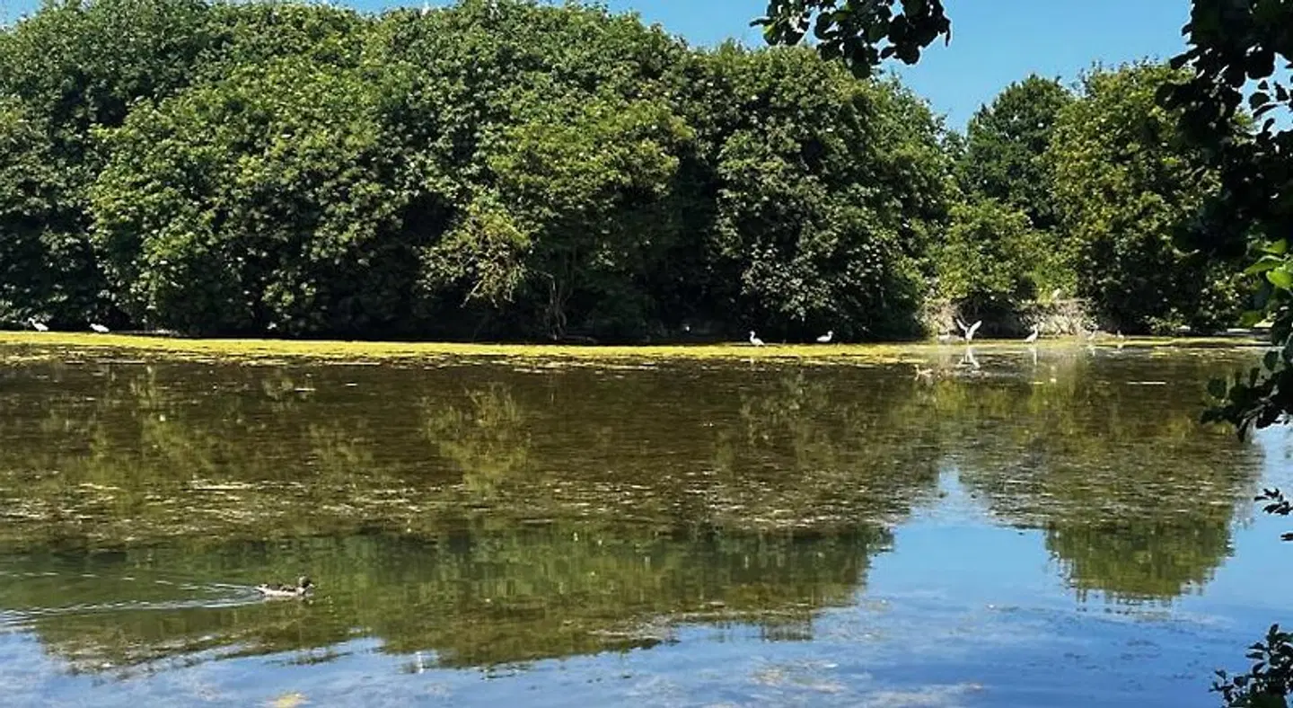 Villa Oiseau Bleu proche de la plage et de Deauville LANDSCAPE