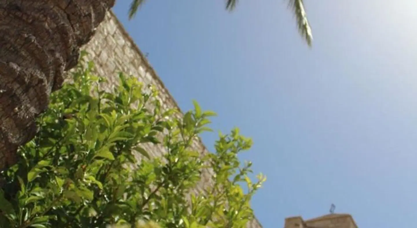 Hotel Torre Domini LANDSCAPE