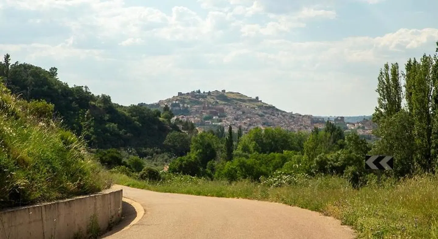 Hostal Los Rosales LANDSCAPE