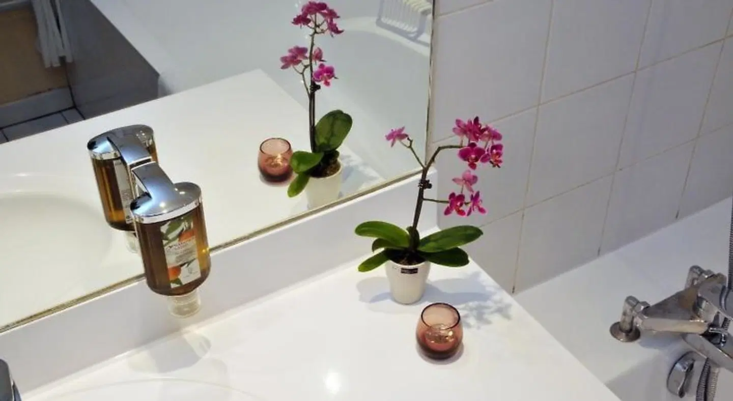 Le Phenix BATHROOM