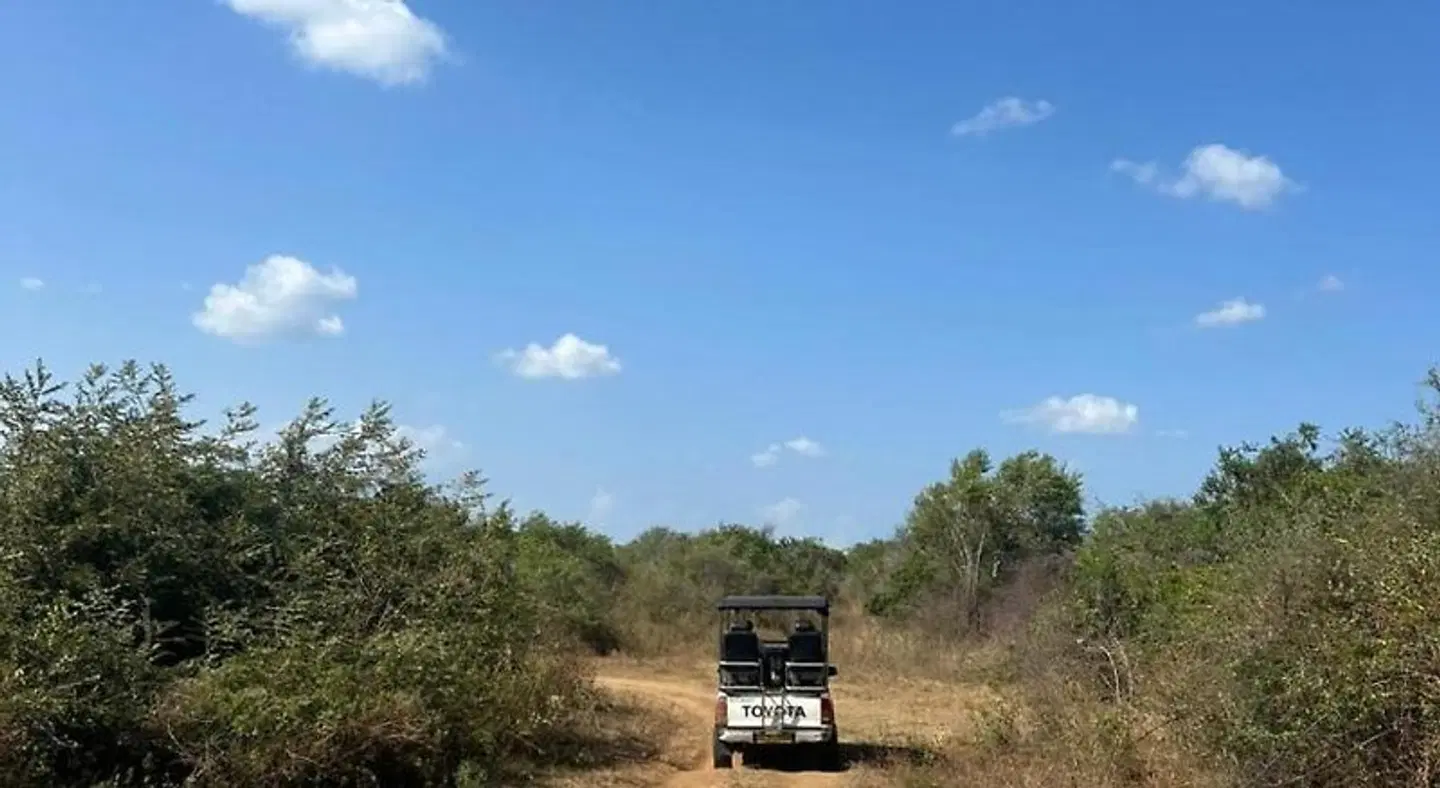 Wildlife Safari House LANDSCAPE