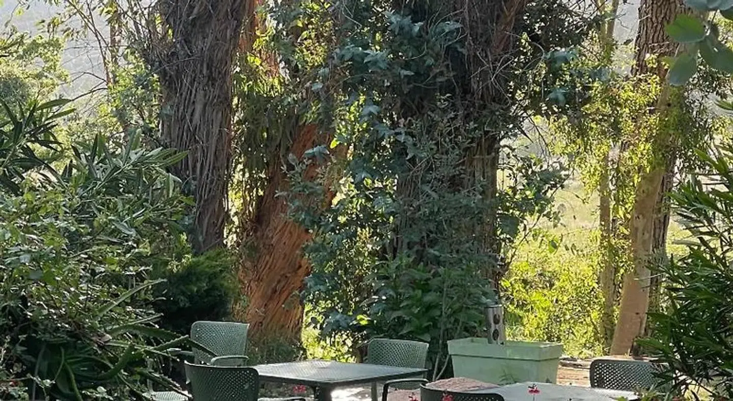 Chambres d'Hôtes Barraconu TERRACE