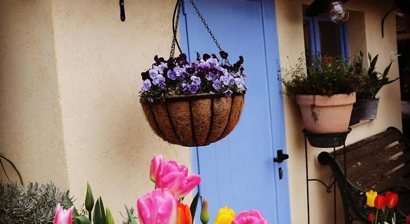 Skylark Bed & Breakfast PEOPLE