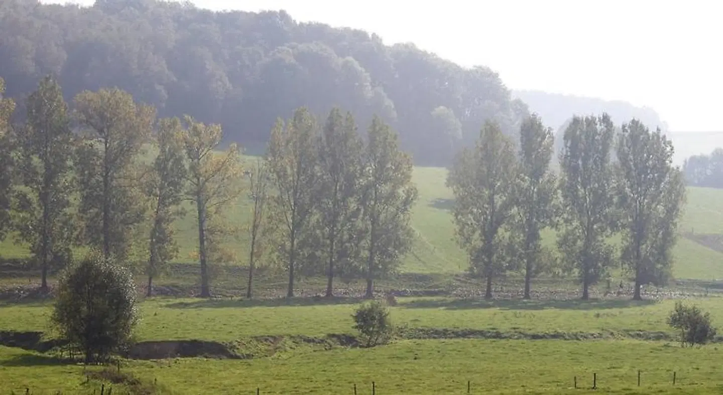 Bed en Breakfast VerdeSud LANDSCAPE